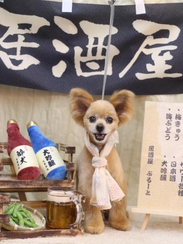 20240628クッキーくん